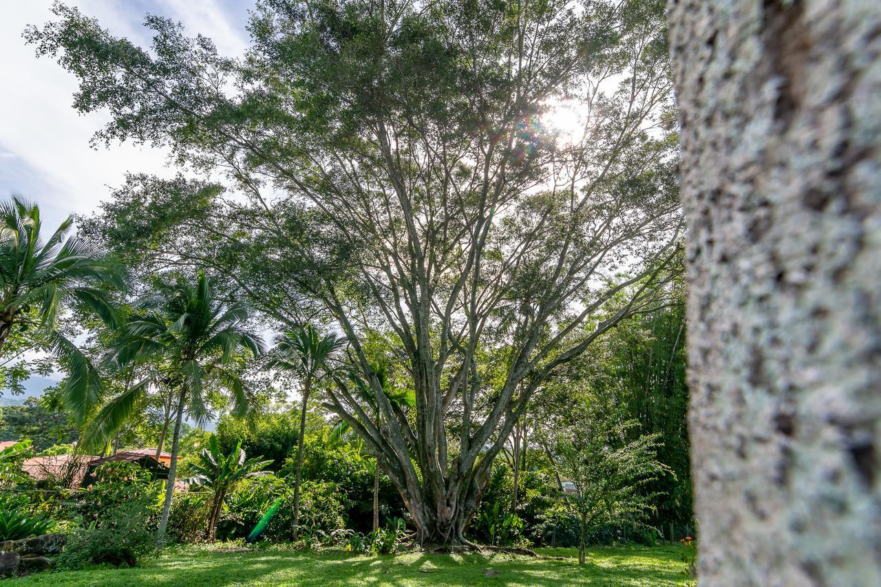 Villa Margarita Animas  Kültér fotó